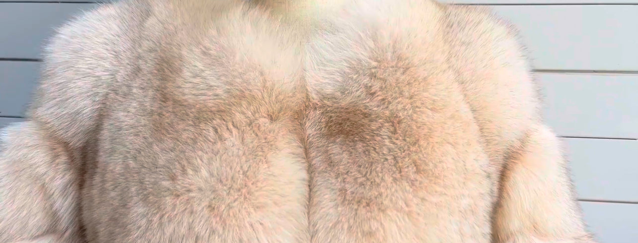 FoxFox